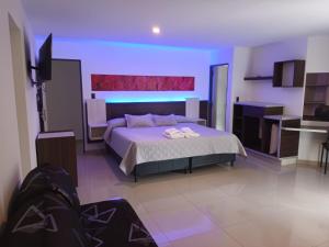 a bedroom with a large bed and a television at Golden Ross Resort & Spa in Villa Carlos Paz