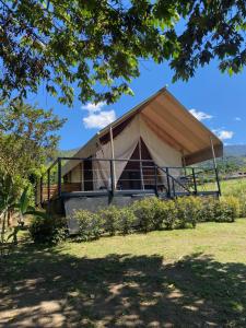 une tente dans un champ sous un arbre dans l'établissement Glamping Las Rocas, à Calima