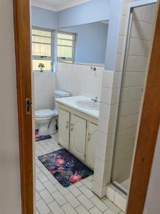 une salle de bain avec un lavabo et des toilettes dans l'établissement Villa Del Sol 15 Hartedief, à Margate