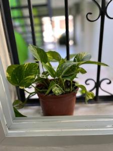 Φωτογραφία από το άλμπουμ του Ideal para parejas, familias y estudiantes σε Resistencia