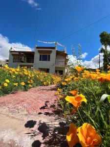 a field of flowers in front of a building at Chakzot garden house in Leh
