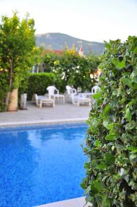 a blue swimming pool with chairs and a hedge at Guest House Bakica in Trogir