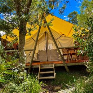 una gran tienda amarilla con una escalera junto a un árbol en Wingtons Glamping, en Clarence Point