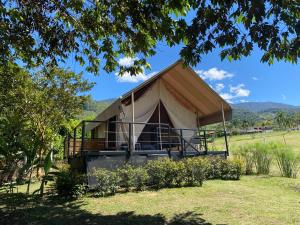 卡利马Glamping Las Rocas的树下的帐篷