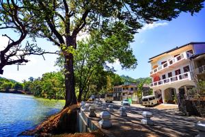 a street next to a river with a tree and buildings at Citrus Cafe & Restaurant in Kandy