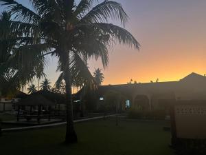 a palm tree with the sunset in the background at Yuli's Homestay in Kuta Lombok