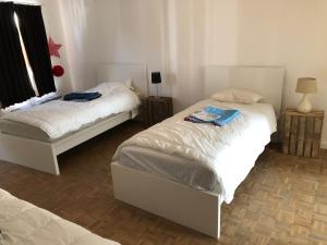 1 dormitorio con 2 camas y ventana en Den Belgiek beer and bed apartment, en Geraardsbergen