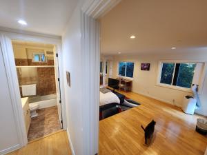 Hollywood Hills Hideout في لوس أنجلوس: قطة سوداء تقف في غرفة مع غرفة نوم