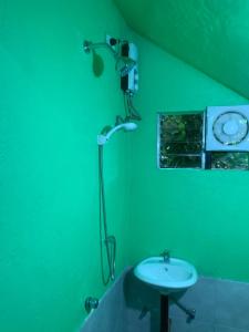 baño verde con lavabo y ducha en DGs, en General Luna