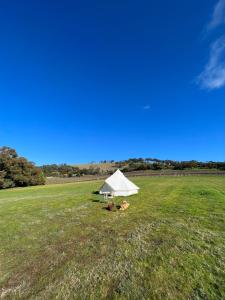 a white tent in a field of grass at Cosy Glamping Tent 1 in Ararat