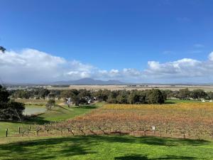 un viñedo con un campo verde y un río en Cosy Glamping Tent 1 en Ararat