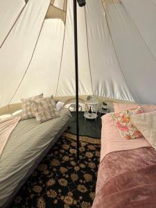 a room with two beds in a tent at Cosy Glamping Tent 2 in Ararat