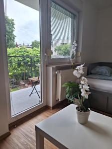 a room with a bed and a table and a window at Guesthouse Flower in Ljubljana