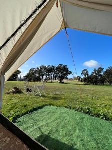 a tent with a green field in the background at Cosy Glamping Tent 3 in Ararat