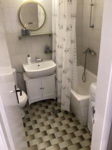a bathroom with a sink and a toilet and a mirror at Lovely and peaceful vintage apartment near beach in Tivat