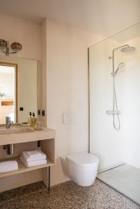 a bathroom with a shower and a toilet and a sink at Prieuré Saint-Nicolas - Les Maisons in Blauzac