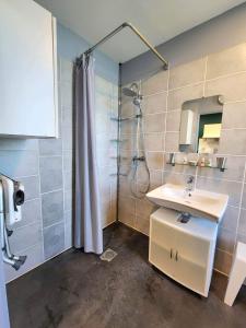 a bathroom with a sink and a shower at Le Domaine du Templier - Maréchal in Borre