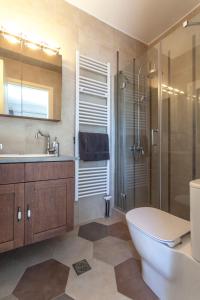 een badkamer met een toilet, een wastafel en een douche bij luxurylefkadavilla in Vasiliki