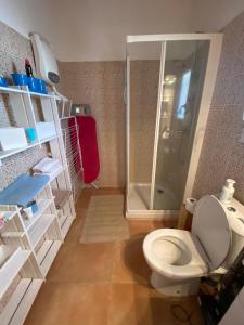 a small bathroom with a toilet and a shower at Au Mazet du Parc in Lédenon