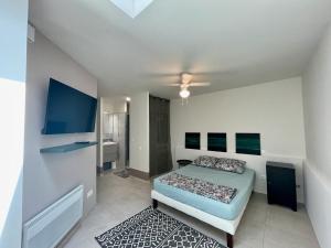 a bedroom with a bed and a tv in it at Appartement Souplex Jardin proche autoroute, plages et attractions, Wifi - TV, calme in Bessan