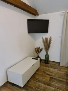 ein weißes Sofa in einem Zimmer mit einem Flachbild-TV in der Unterkunft Appartement Proche Aéroport Bâle/Mulhouse in Blotzheim