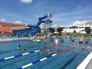 a group of people swimming in a swimming pool at Apartmány ROSE Mikulov in Mikulov