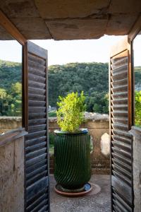 Blauzac的住宿－Prieuré Saint-Nicolas - Les Maisons，窗户上植有植物的大绿花瓶