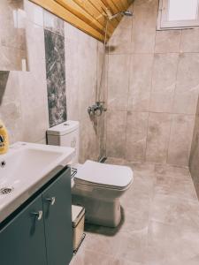 a bathroom with a toilet and a sink at Riviera bungalow evleri demre 2 in Demre