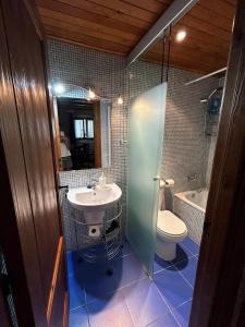 a bathroom with a sink and a toilet at Apartaments Arenys De Boi in Bohí