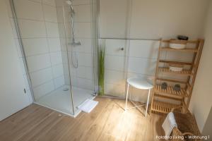 a bathroom with a glass shower with a plant at Palatina Living in Fischbach +41 photos