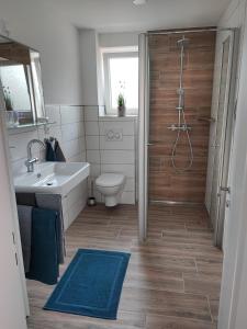 a bathroom with a shower and a toilet and a sink at Muhrbach in Ottersweier
