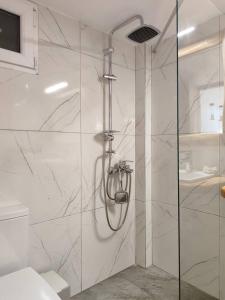 a shower with a glass door in a bathroom at Isidora Apartments in Zagora