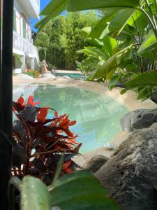a large swimming pool in a yard with plants at Appt Ambiance Chalet 2ch Piscine lagon in Tarbes