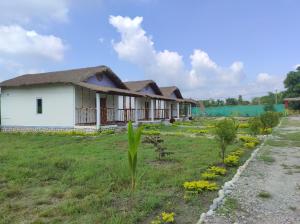 a row of houses with a thatched roof at Falcon Jungle Resort in Jyoti Gaon