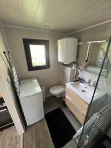a small bathroom with a sink and a toilet at La Tiny d'Othe in Estissac