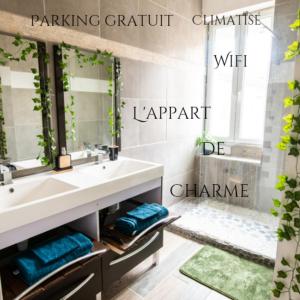 appart de charme a 2 pas du centre de Montbrison في مونتبريسون: حمام مع حوض ومرآة