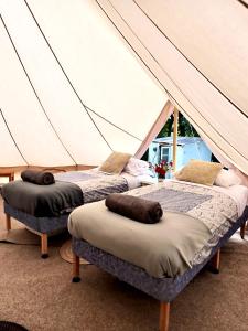 two beds in a tent with pillows on them at The Toad's pad in Tiverton