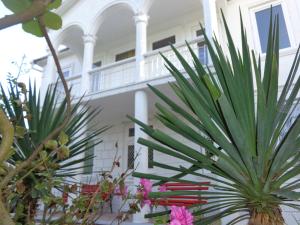 Zahrada ubytování White Guest House