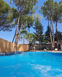 Bazén v ubytování Kriva Resort nebo v jeho okolí