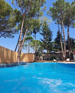 a blue swimming pool with trees in the background at Kriva Resort in Elbasan