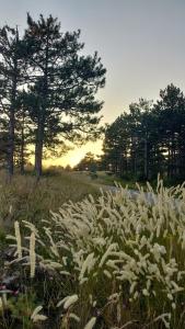 Paesaggio naturale nelle vicinanze dell'appartamento