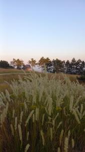 Paesaggio naturale nelle vicinanze dell'appartamento