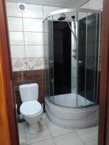 a bathroom with a toilet and a shower at Bieszczadzka Legenda in Wetlina
