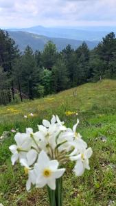 Paesaggio naturale nelle vicinanze dell'appartamento