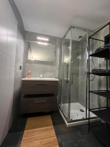 bagno con doccia e lavandino di Grande maison à 5min de la plage a Canet-en-Roussillon