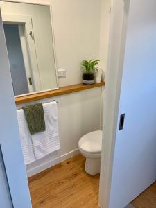 ein Badezimmer mit einem WC, einem Spiegel und einer Pflanze in der Unterkunft Magnolia Studio in Hastings