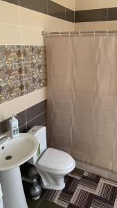 La salle de bains est pourvue de toilettes blanches et d'un lavabo. dans l'établissement Гостевой Домик Жайлау, à Taraz