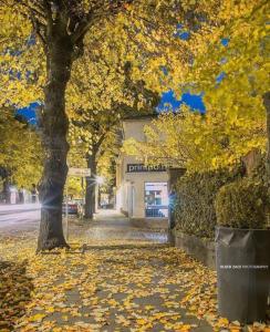 a tree with yellow leaves in front of a store at Beautiful 1-Bed House in Korce in Korçë