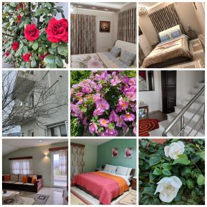 uma colagem de fotos de um quarto de hotel com flores em Beautiful 1-Bed House in Korce em Korçë