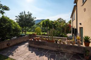 une rangée de plantes en pot sur un mur à côté d'un bâtiment dans l'établissement Agriturismo Terre Bianche, à Teolo